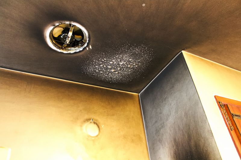 Cleaning and Odor Removal Specialists